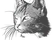 DeineTierwelt