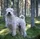 Hund und Heimtier Dortmund