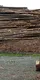 Forst & Holz
